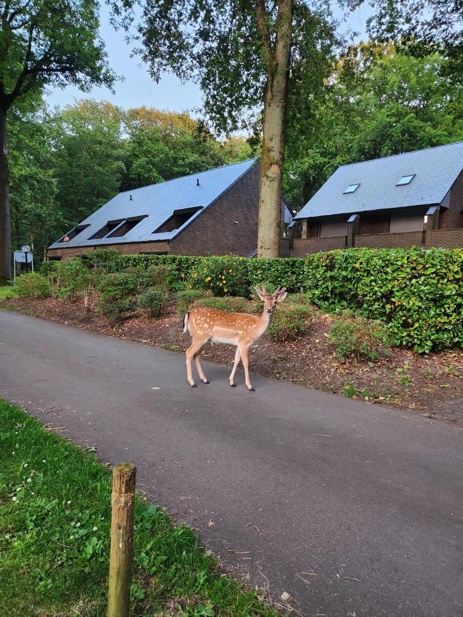 Aan de WolfsbergHengelhoef Berk 5别墅 外观 照片